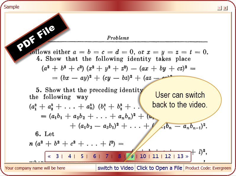 Screenshot showing how the PDF file appears to the user